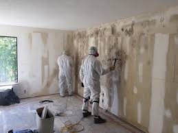 Best Black Mold Removal in USA